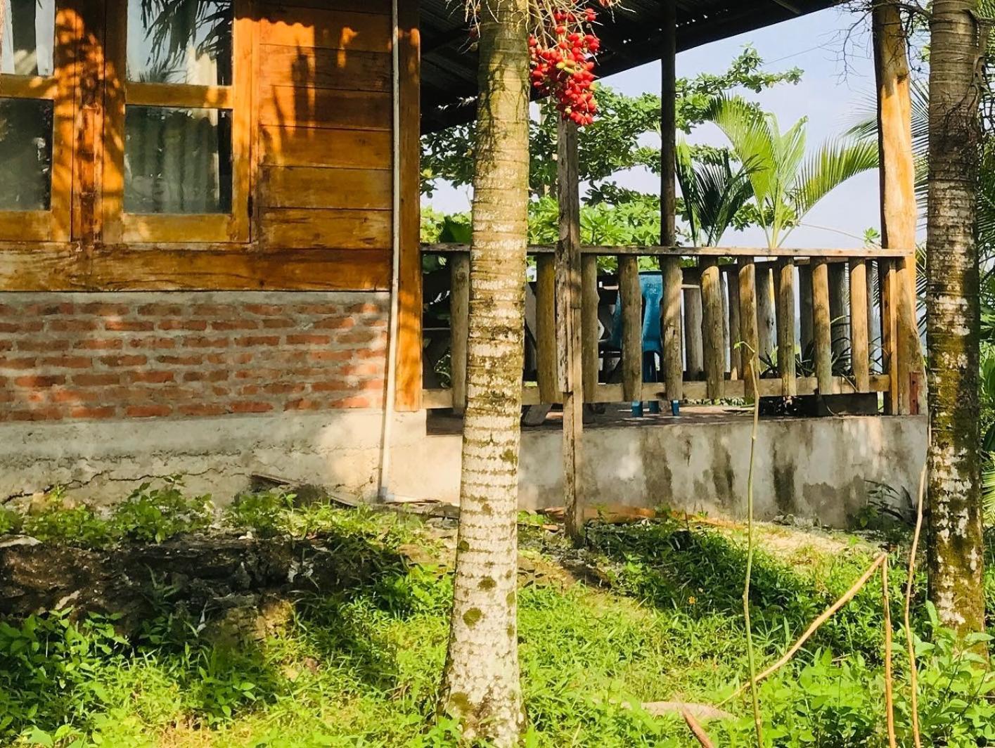 Dolin Cottage Hilibotodane Exterior foto